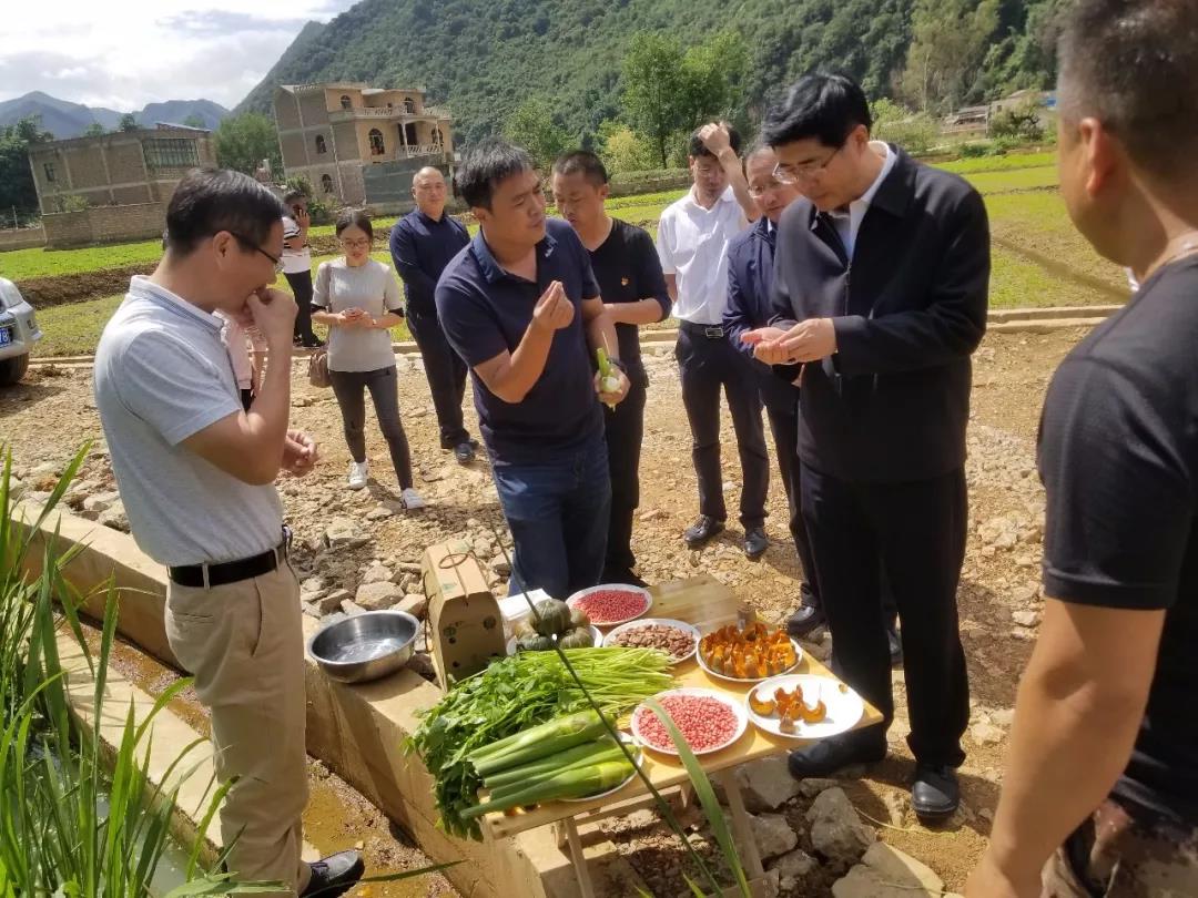 PP电子·模拟器(试玩游戏)官方网站
