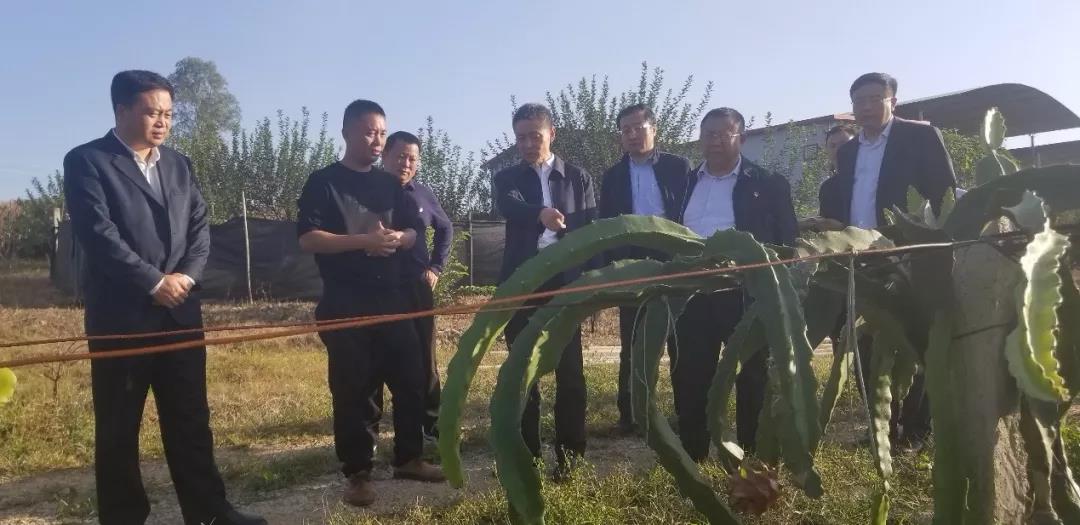 PP电子·模拟器(试玩游戏)官方网站