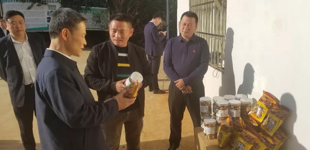 PP电子·模拟器(试玩游戏)官方网站